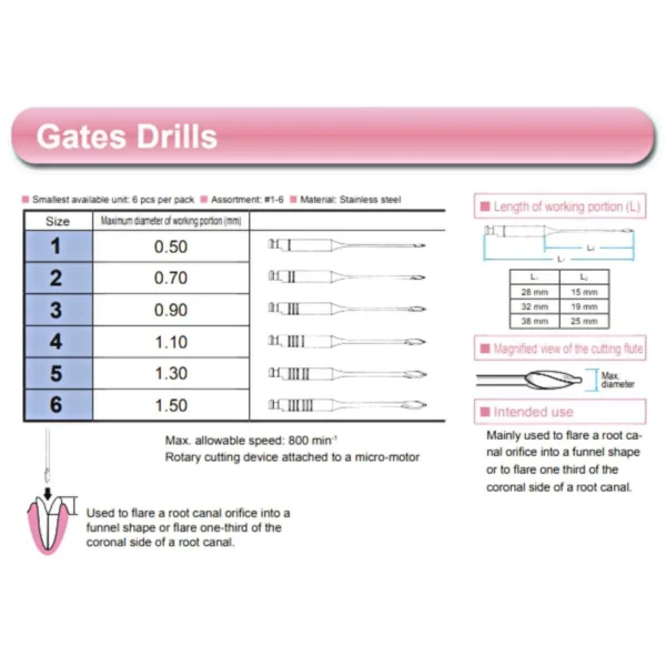 Foret De Gates Drills MANI – Image 3